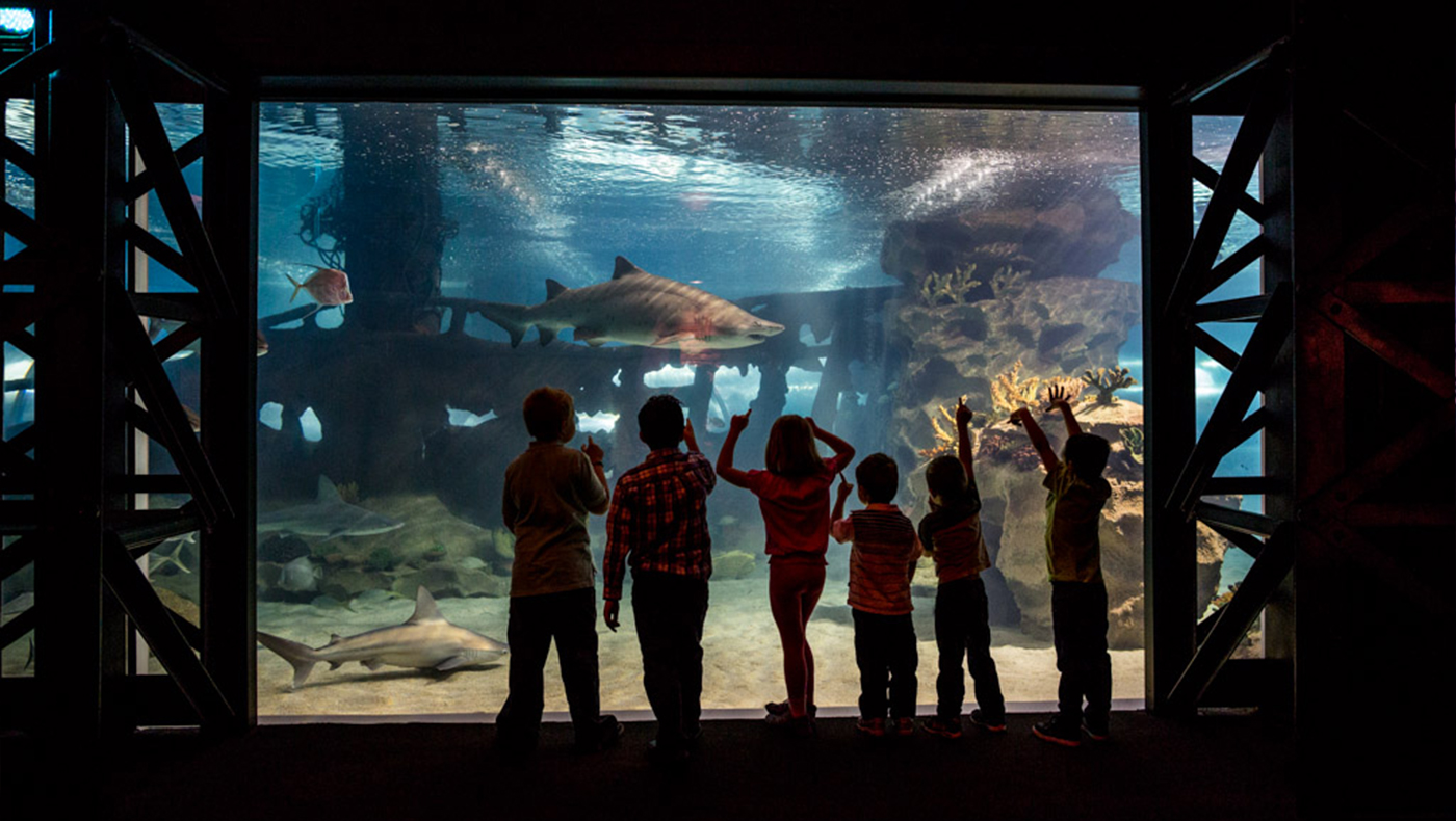 Greater Cleveland Aquarium Bialosky Cleveland